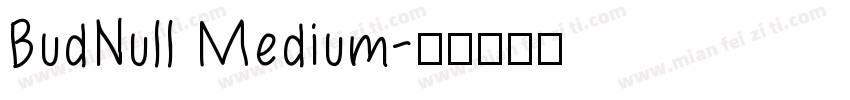 BudNull Medium字体转换